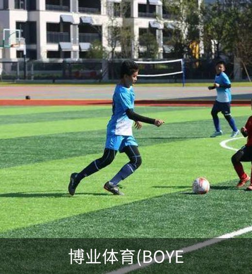 博业体育(BOYE简介